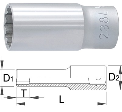 238_1L12p