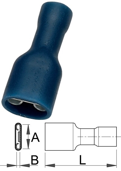 423.8B